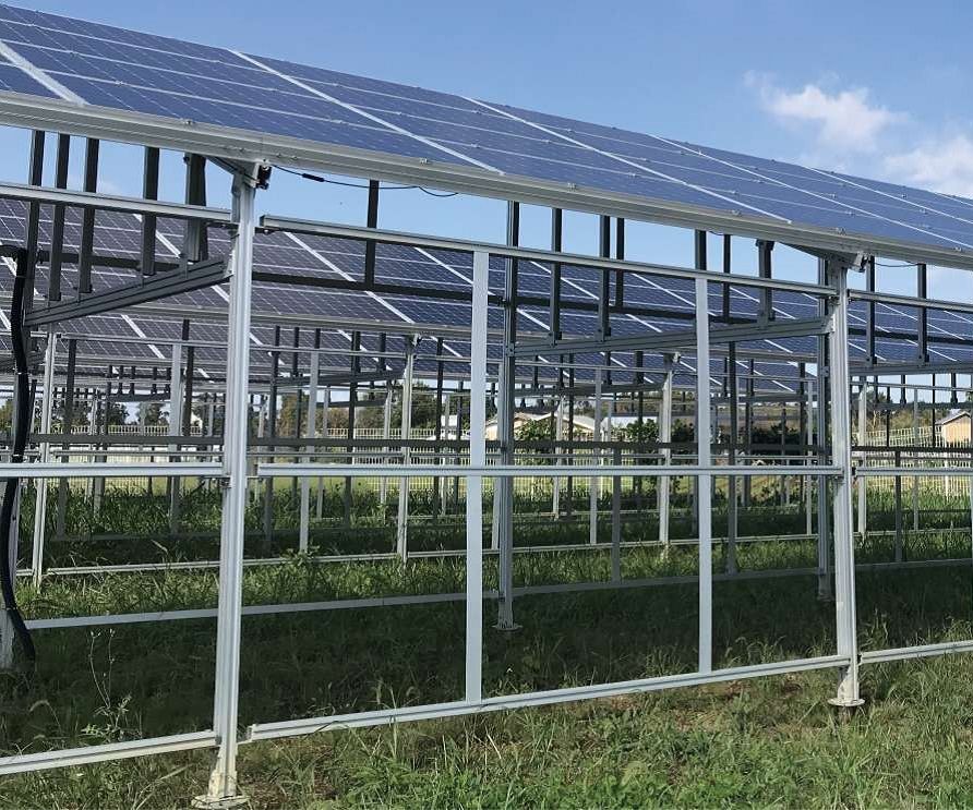 Montaje fotovoltaico agrícola